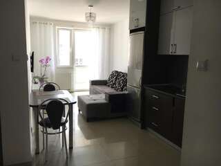 Апартаменты APARTAMENT Antoniukowska 60 Белосток-7