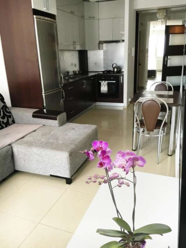 Апартаменты APARTAMENT Antoniukowska 60 Белосток-14